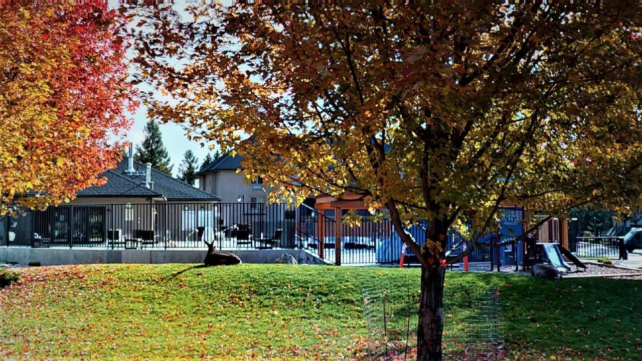 523 B - 500 Bighorn Boulevard, Radium Hot Springs, British Columbia  V0A 1M0 - Photo 38 - 2471587