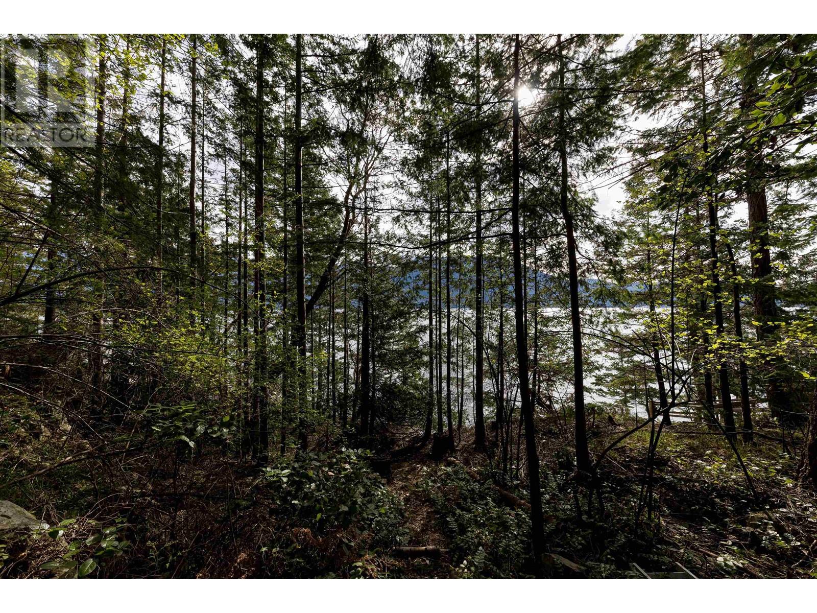 1591 Eagle Cliff Road, Bowen Island, British Columbia  V0N 1G1 - Photo 18 - R2790670