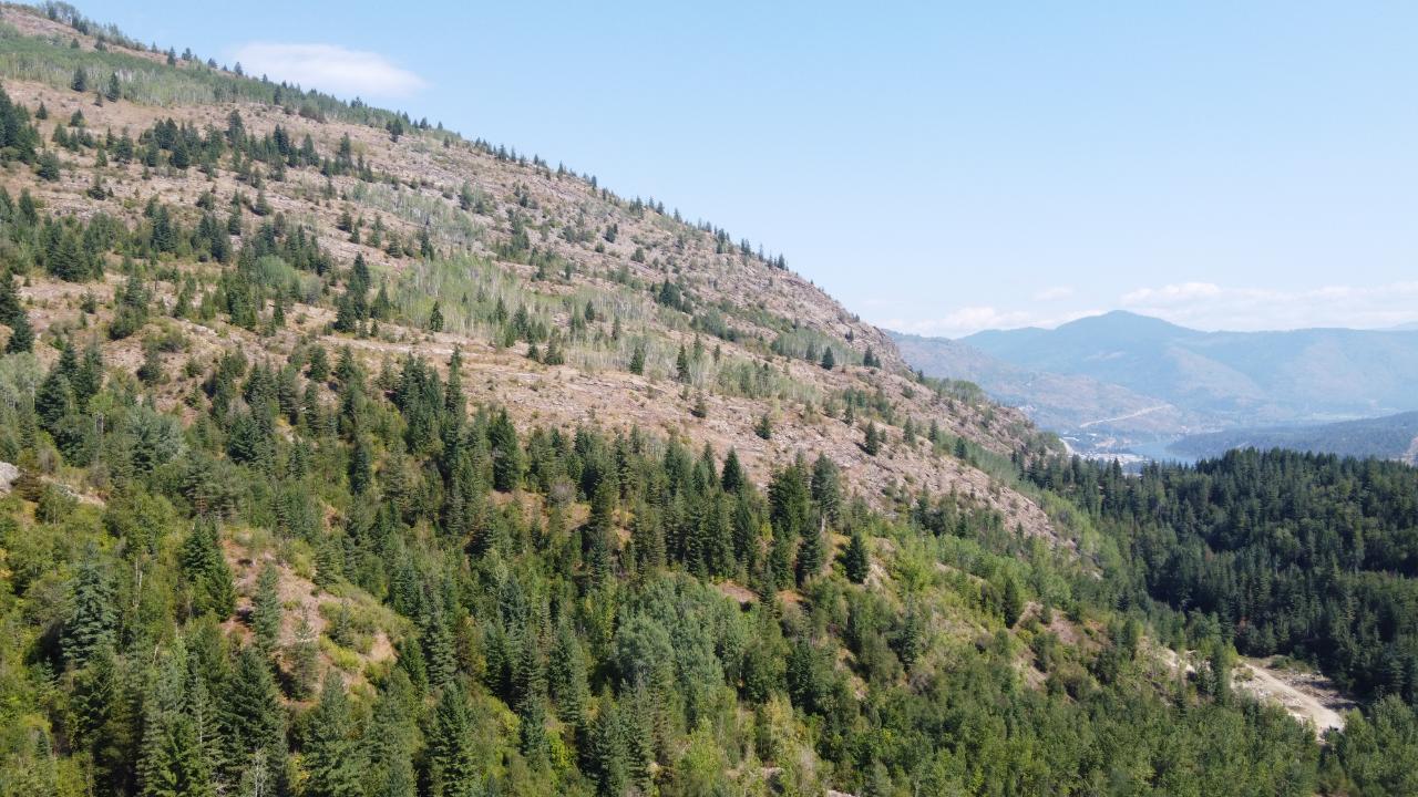 Sublot1&2 Mcbride Street, Trail, British Columbia  V1R 1B1 - Photo 15 - 2471511