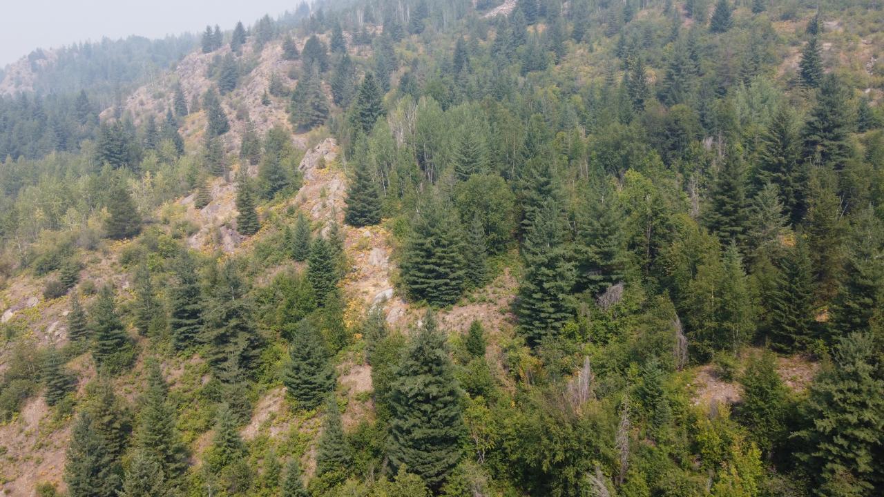 Sublot1&2 Mcbride Street, Trail, British Columbia  V1R 1B1 - Photo 5 - 2471511