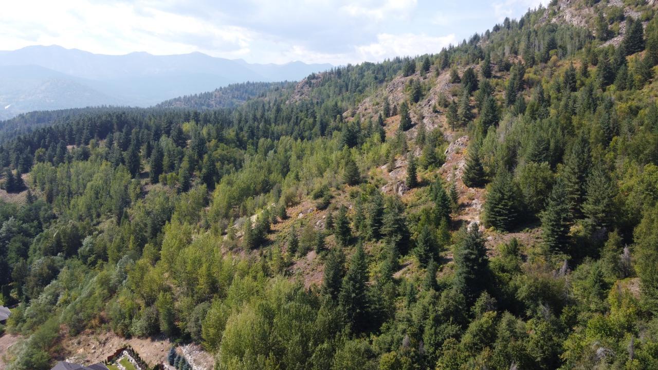 Sublot1&2 Mcbride Street, Trail, British Columbia  V1R 1B1 - Photo 9 - 2471511