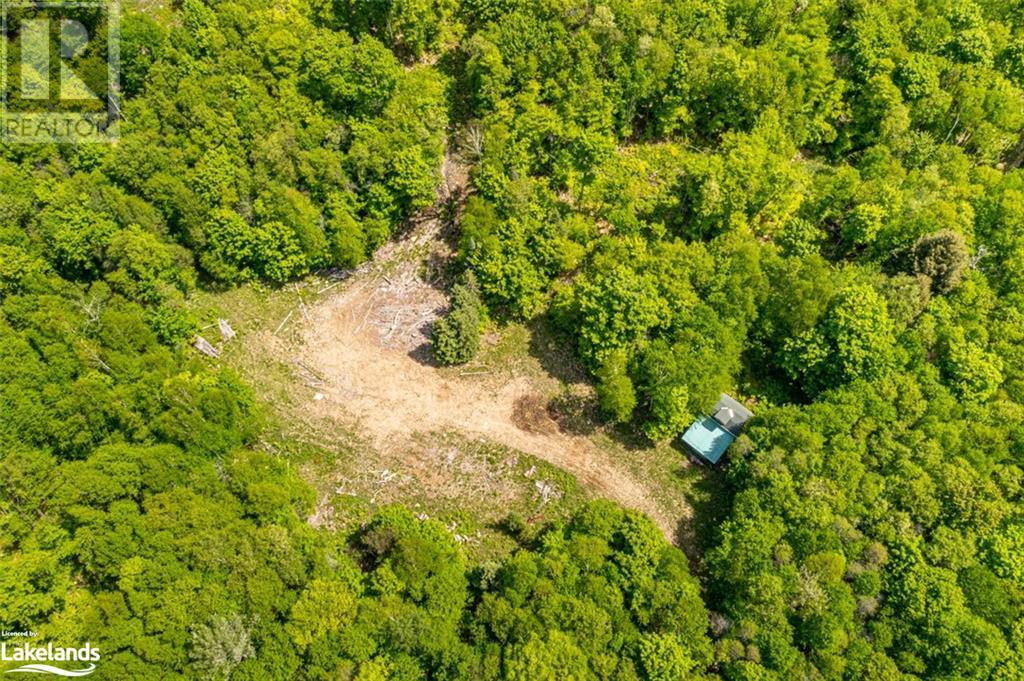 Lot 13 Loon Lake Road, Kearney, Ontario  P0A 1M0 - Photo 6 - 40441210