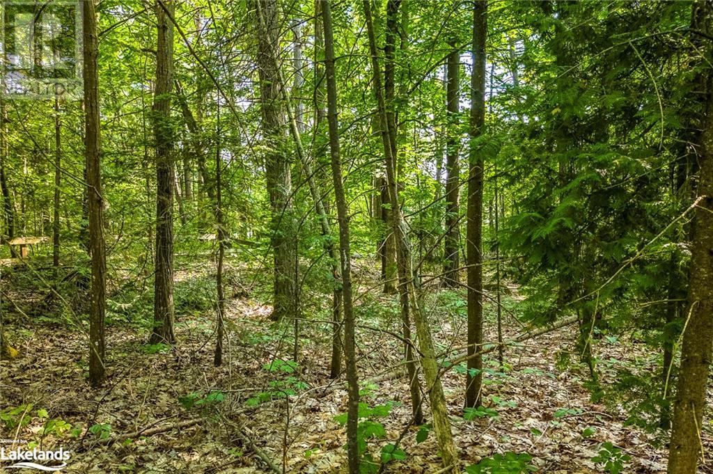 Lot 47 Trout Lane, Tiny, Ontario  L9M 0J1 - Photo 6 - 40439950