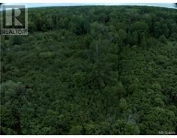 8054 SqM River Road