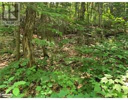 0 SHAWANAGA LAKE Road