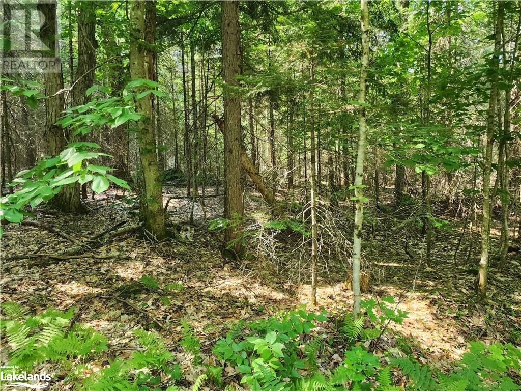 Lot 14 Con 4, Mcmurrich, Ontario  P0A 1Y0 - Photo 10 - 40442142