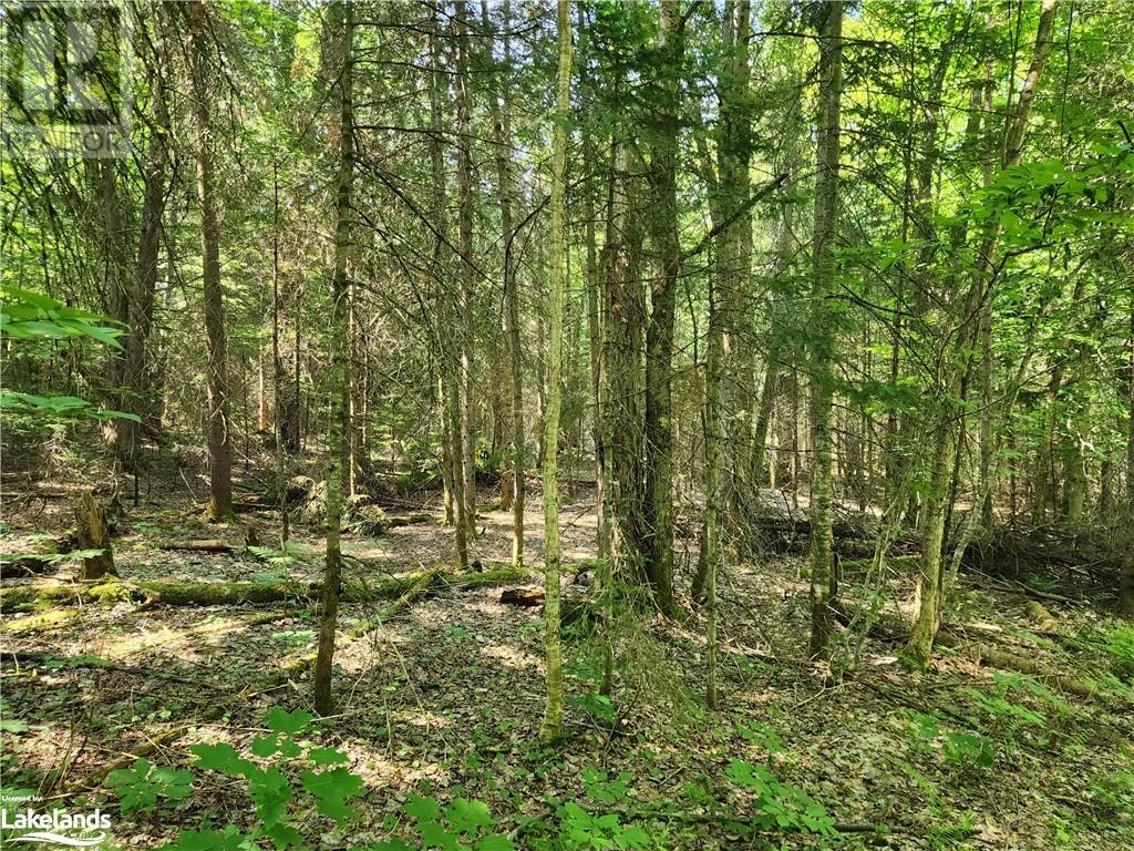 Lot 14 Con 4, Mcmurrich, Ontario  P0A 1Y0 - Photo 11 - 40442142