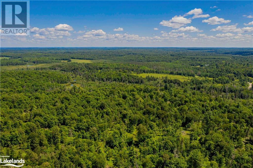 Lot 8 Nelson Lake Road, Magnetawan, Ontario  P0A 1P0 - Photo 19 - 40443406