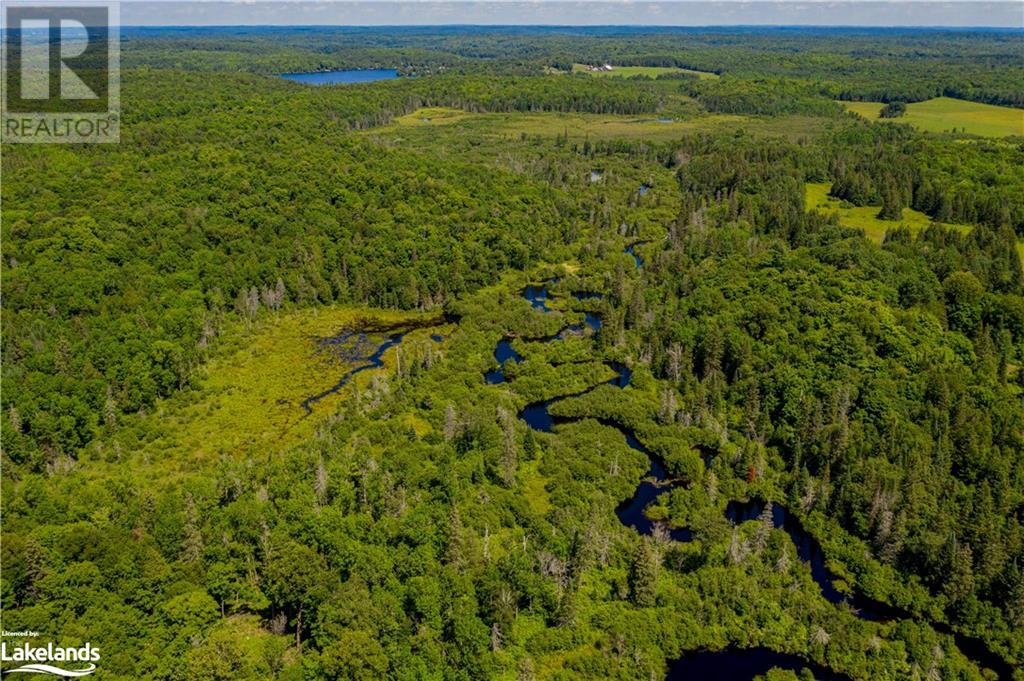 Lot 8 Nelson Lake Road, Magnetawan, Ontario  P0A 1P0 - Photo 6 - 40443406