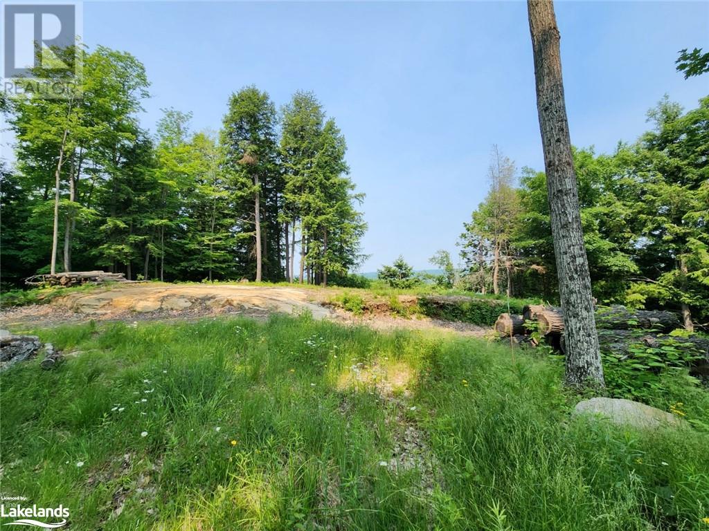 19 Old Hemlock Trail, Huntsville, Ontario  P1H 0A7 - Photo 25 - 40441073