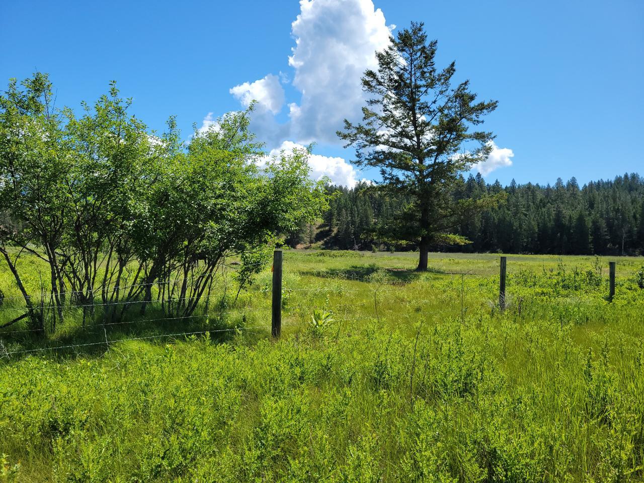 Lot 1 Wardner-Fort Steele Road, Bull River, British Columbia  V0B 2J0 - Photo 52 - 2471645