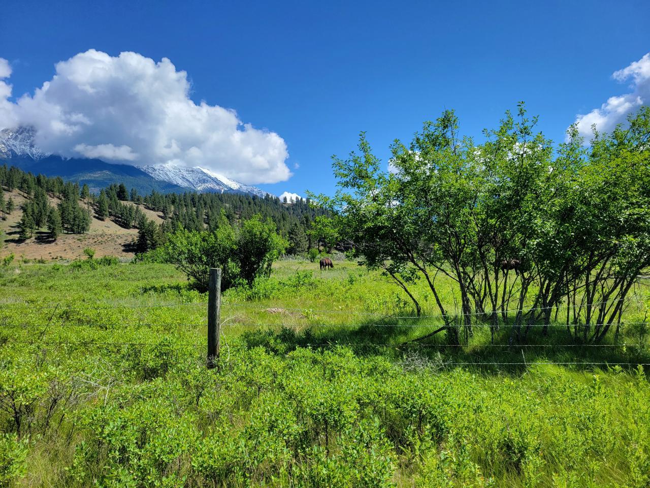 Lot 1 Wardner-Fort Steele Road, Bull River, British Columbia  V0B 2J0 - Photo 53 - 2471645