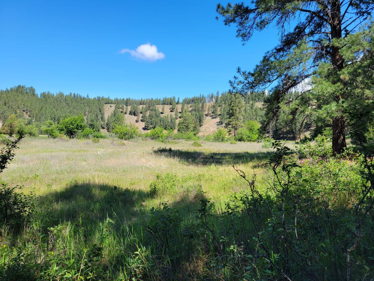 Lot 1 Wardner-Fort Steele Road, Bull River, British Columbia  V0B 2J0 - Photo 39 - 2471645