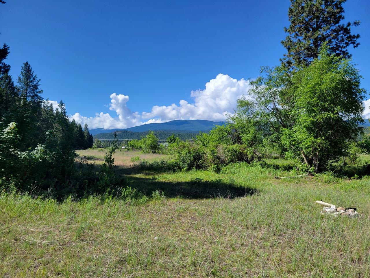 Lot 1 Wardner-Fort Steele Road, Bull River, British Columbia  V0B 2J0 - Photo 45 - 2471645