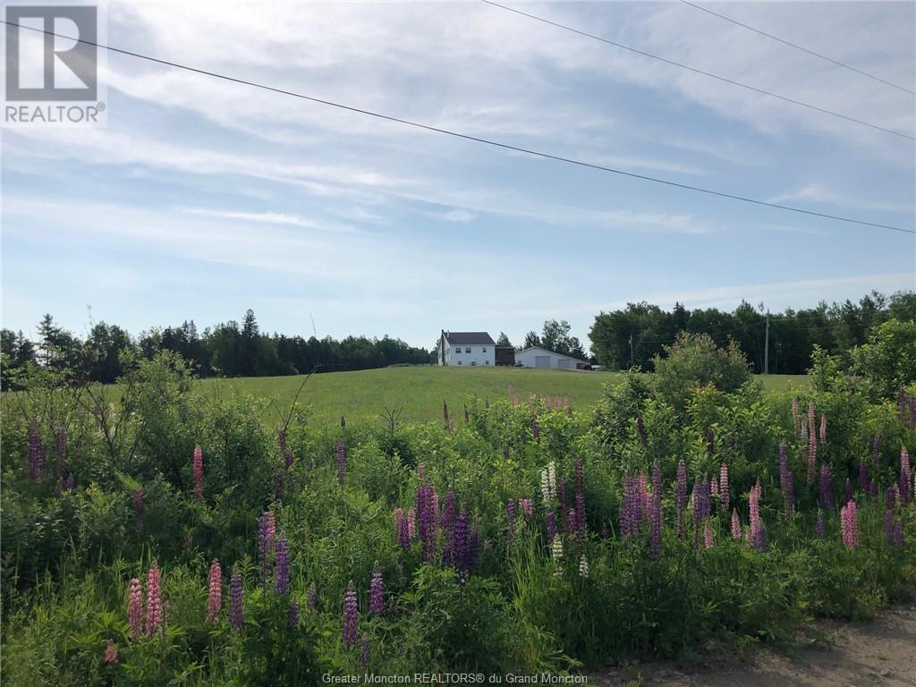 155 Beersville Back Rd, Fords Mills, New Brunswick  E4T 1Y2 - Photo 3 - M153563