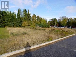 2 Sandy Beach Mews, Dryden, Ontario  P8N 3J6 - Photo 3 - TB123031