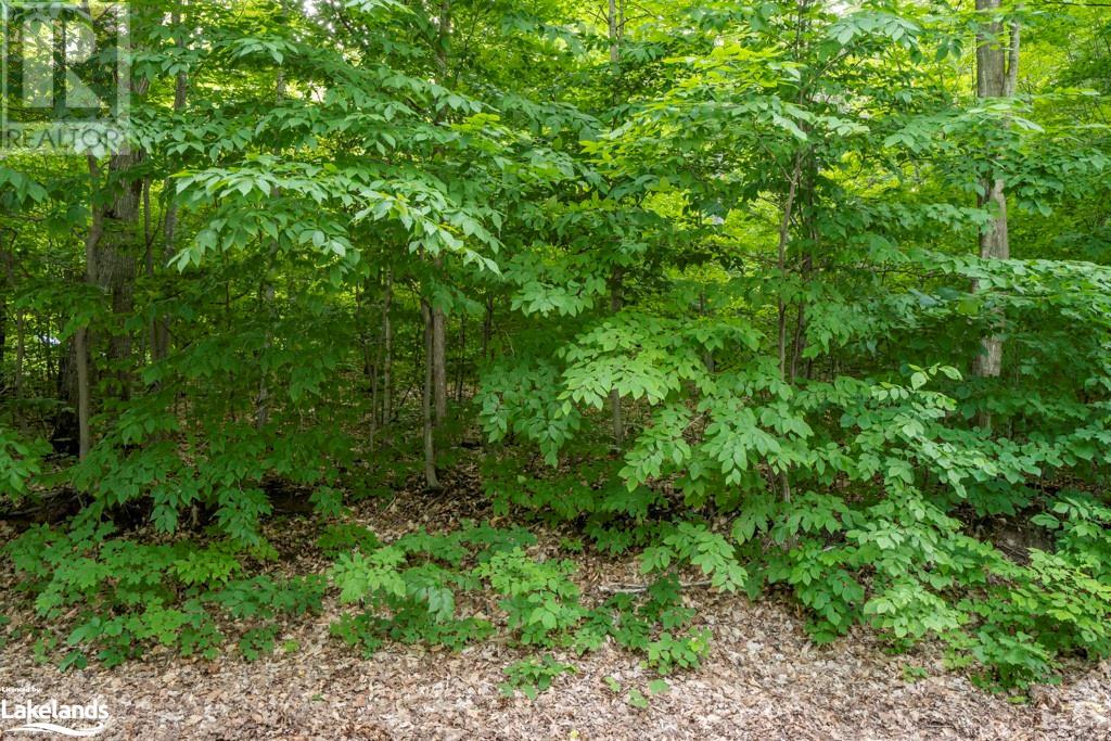 Lot 23 Farlain Lake Road W, Tiny, Ontario  L9W 0B9 - Photo 4 - 40445257
