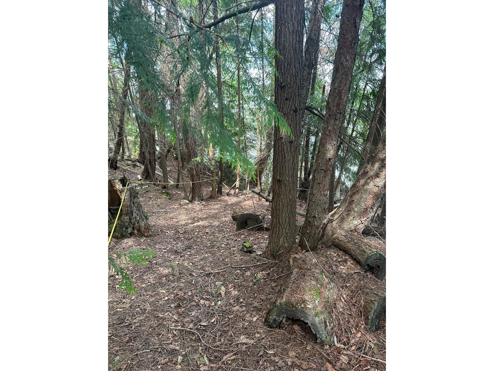 4754 Twin Bays Rd, Kaslo, British Columbia  V0G 1M0 - Photo 59 - 2471535