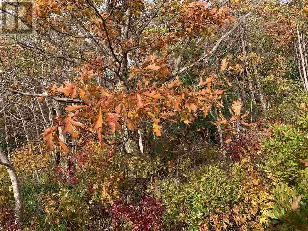 Acreage Canavoy Island, St. Andrews, Prince Edward Island  C0A 1T0 - Photo 10 - 202313369