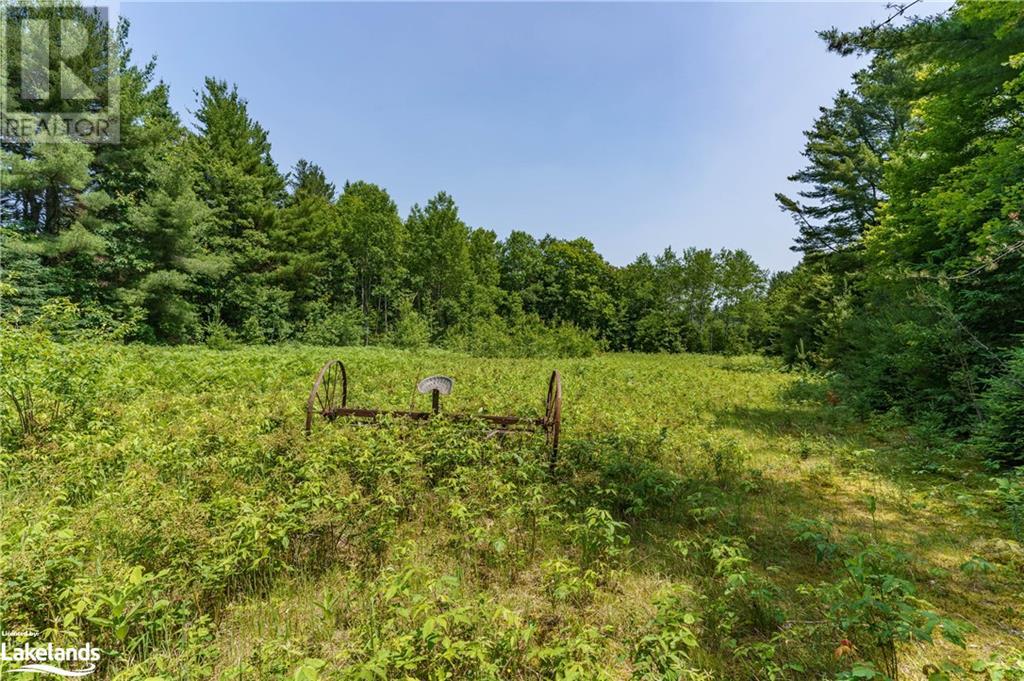 1419 Barkway Road, Gravenhurst, Ontario  P1P 1R3 - Photo 4 - 40381706