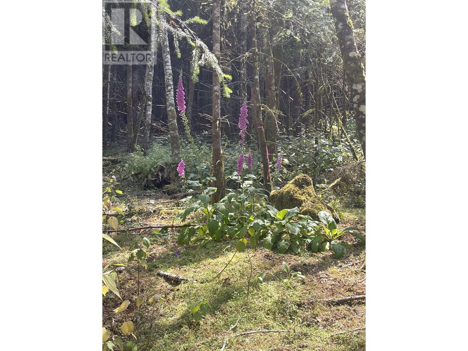 Lot C Seymour Road, Gabriola Island, British Columbia  V0R 1X6 - Photo 1 - R2793848