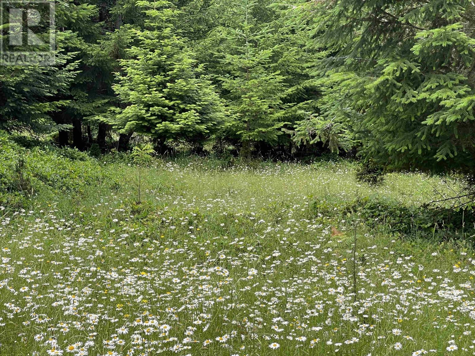 Lot C Seymour Road, Gabriola Island, British Columbia  V0R 1X6 - Photo 4 - R2793848