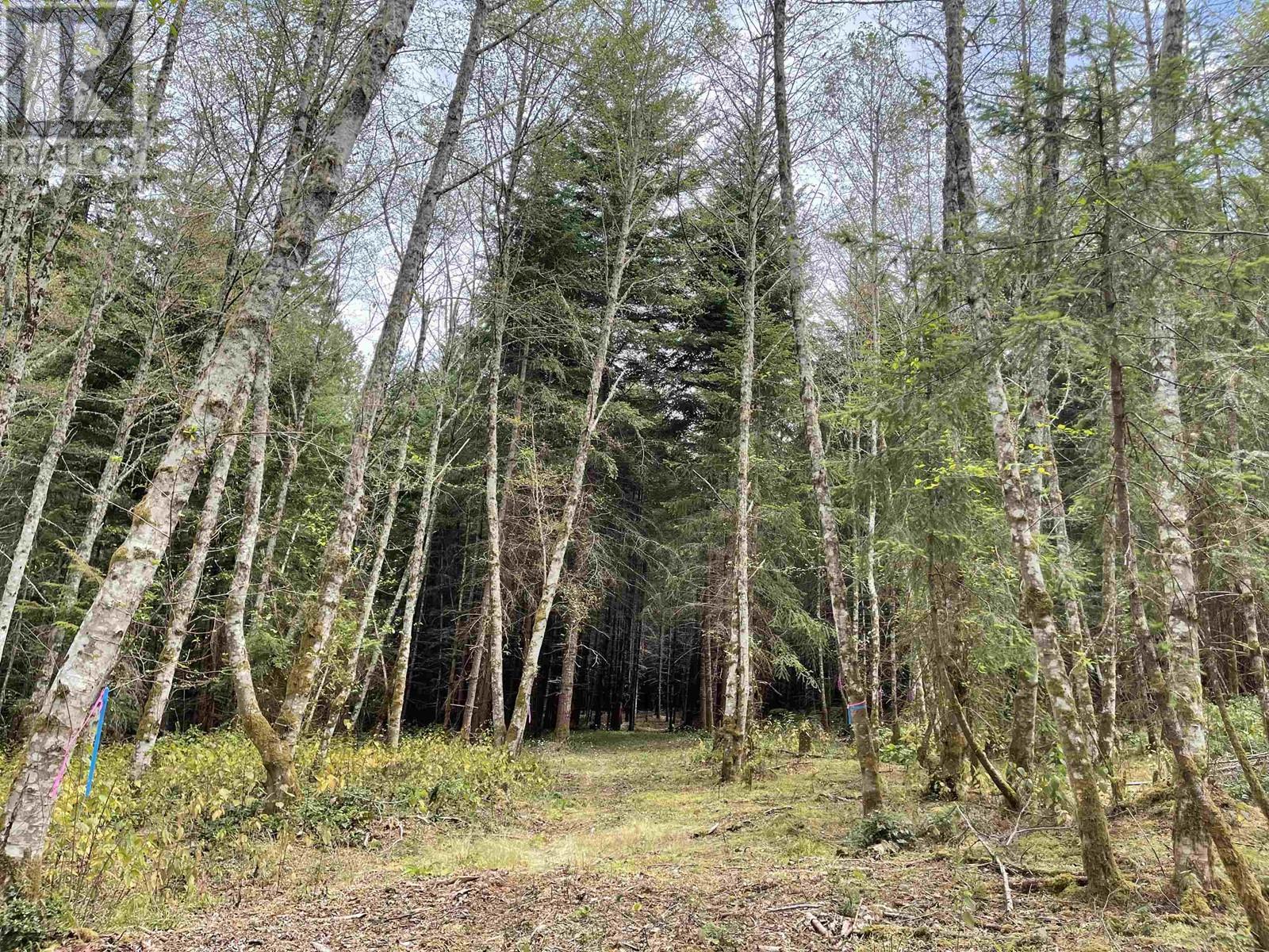 Lot C Seymour Road, Gabriola Island, British Columbia  V0R 1X6 - Photo 33 - R2793848