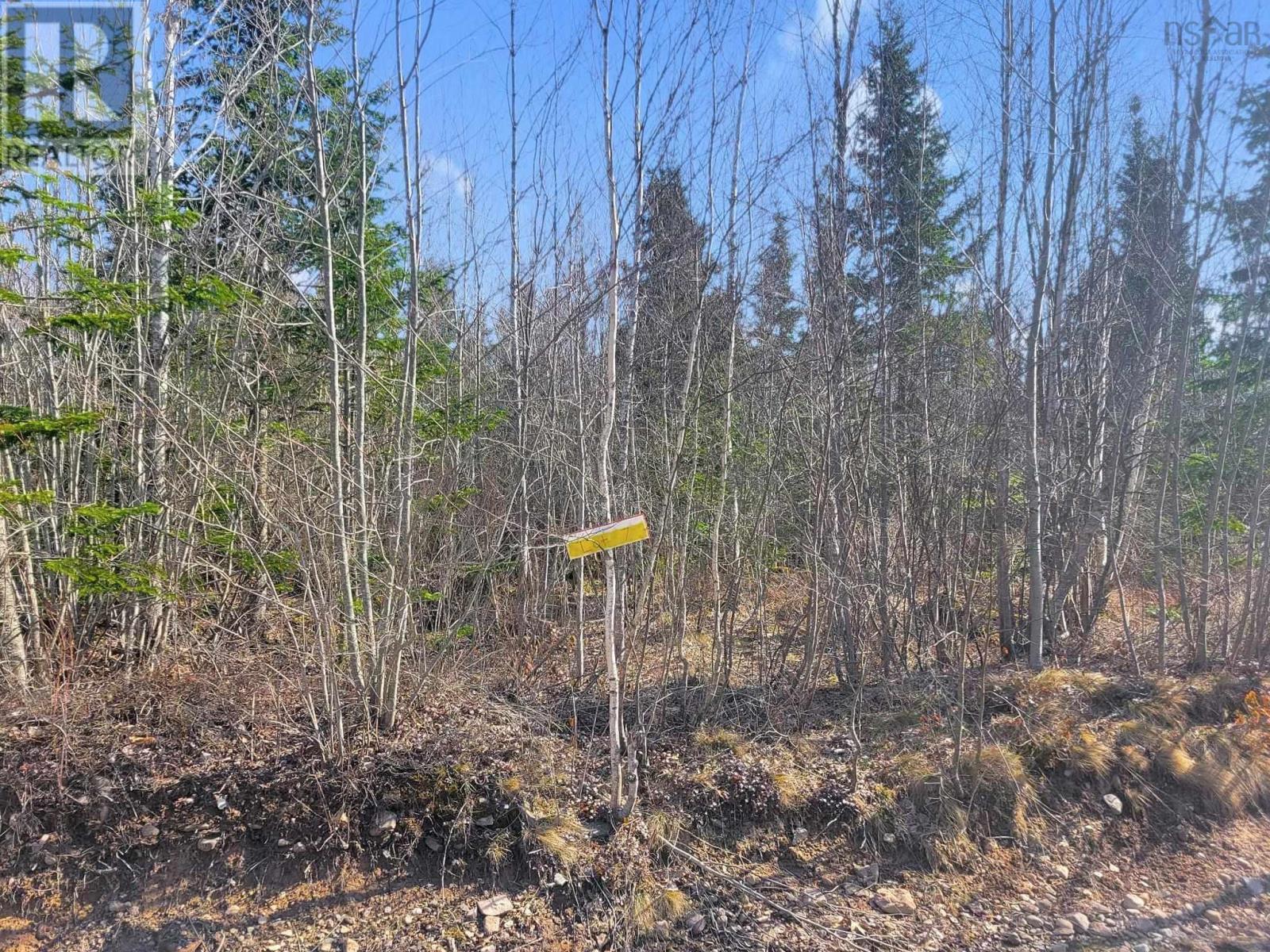 Lot 12 Old Renfrew Road, Upper Rawdon, Nova Scotia  B0N 2N0 - Photo 4 - 202306249