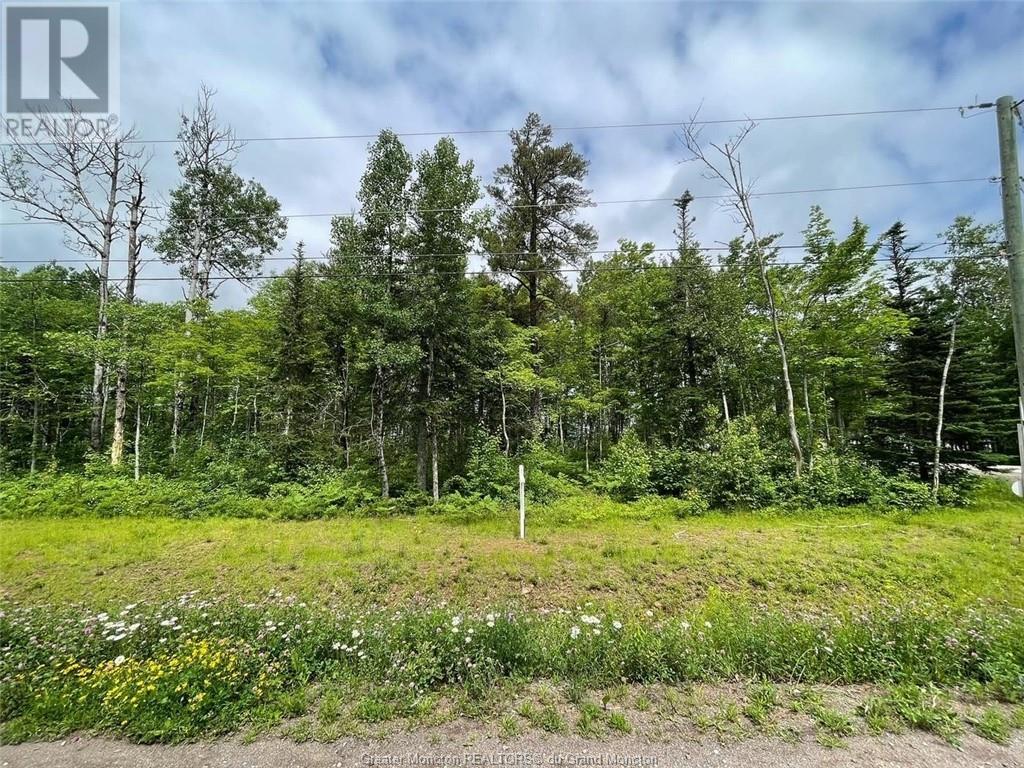 Lot 22-1 Jason St, Riverview, New Brunswick  E1J 1S1 - Photo 4 - M153705