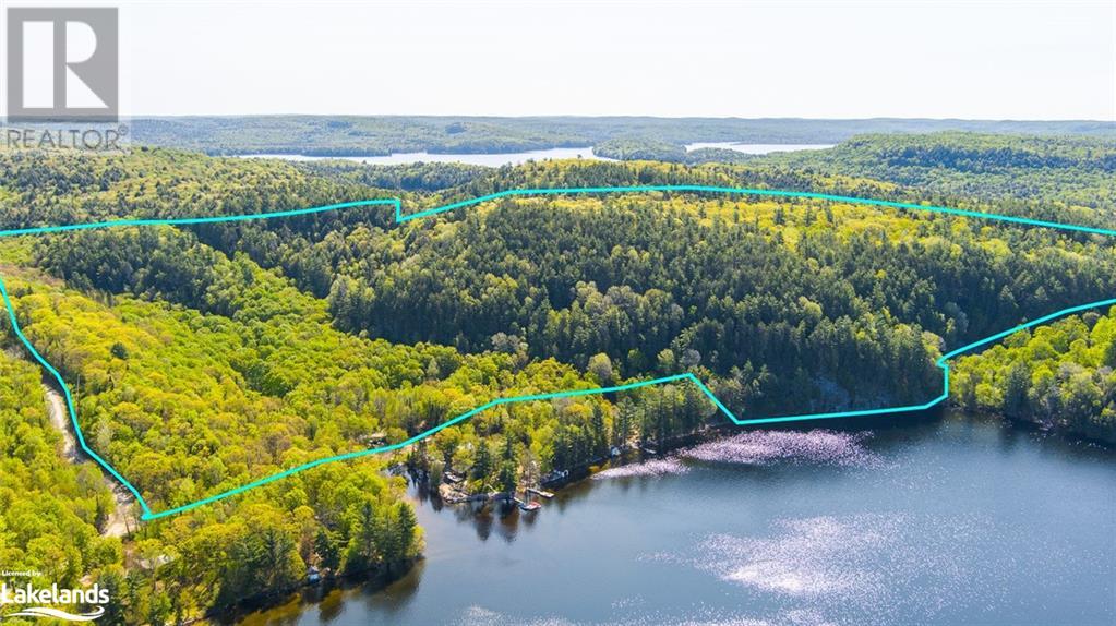 6909 Haliburton Lake Road, Haliburton, Ontario  K0M 1S0 - Photo 3 - 40424313