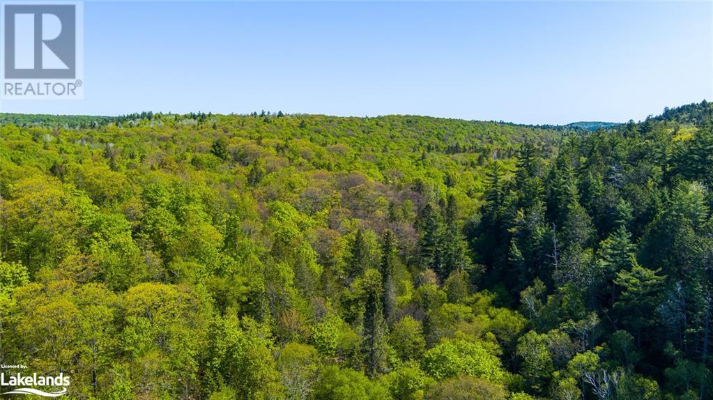 6909 Haliburton Lake Road, Haliburton, Ontario  K0M 1S0 - Photo 46 - 40424313