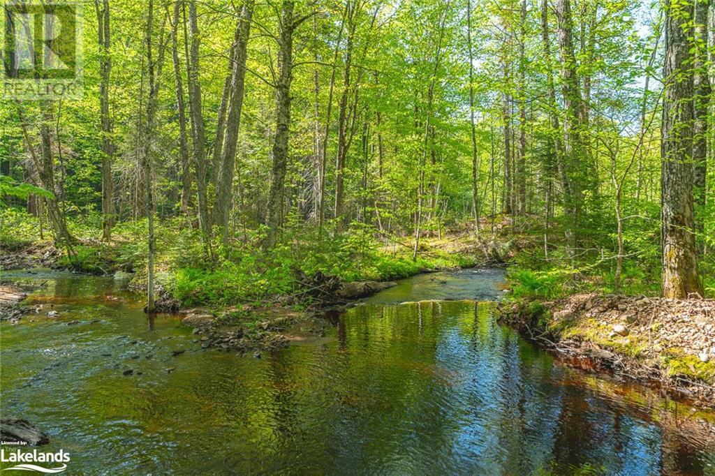 6909 Haliburton Lake Road, Haliburton, Ontario  K0M 1S0 - Photo 34 - 40424313