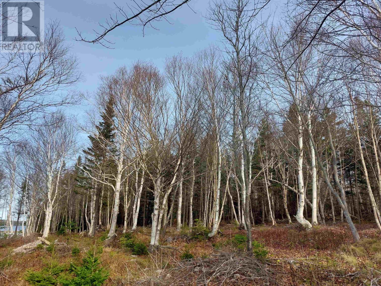 Lot 30 31 32 Rodney Drive, Militia Point, Nova Scotia  B0E 2Y0 - Photo 18 - 202226529