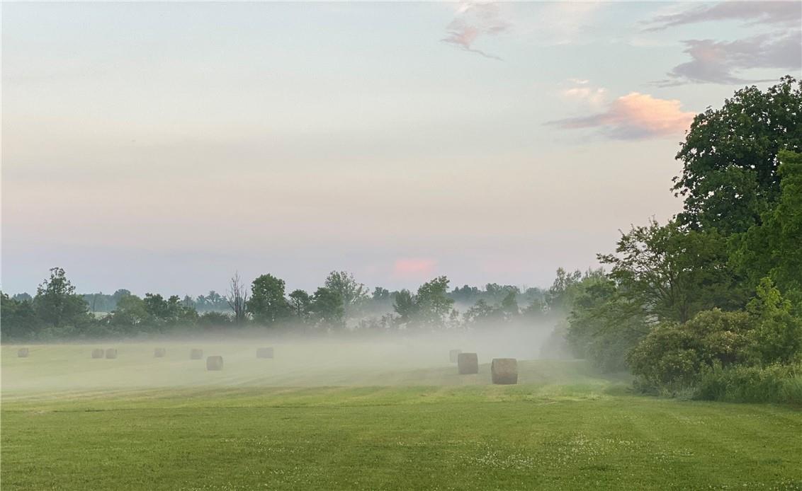 1291 Old #8 Highway, Flamborough, Ontario  L0R 1Z0 - Photo 45 - H4167494