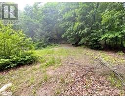 1167 LEONS Lane