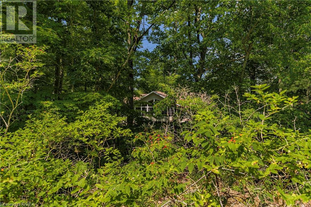 790 King Street W, Gananoque, Ontario  K7G 2H5 - Photo 20 - 40451701