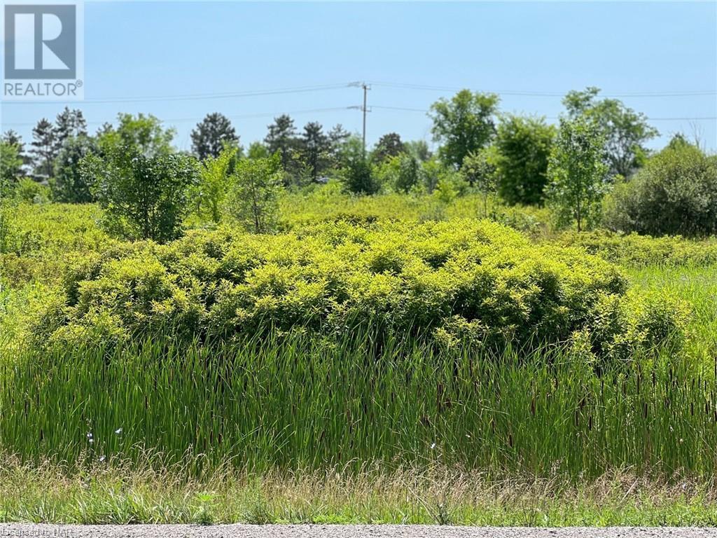 N/a Netherby Road, Stevensville, Ontario  L0S 1S0 - Photo 5 - 40450710