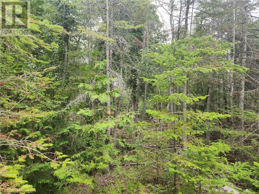 Pcl 2-3 Walter Charman Drive, Stokes Bay, Ontario  N0H 2R0 - Photo 11 - 40450972