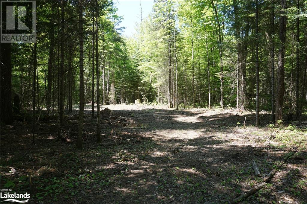 Lot 3 Fairy Falls Road, Baysville, Ontario  P0B 1A0 - Photo 4 - 40452570