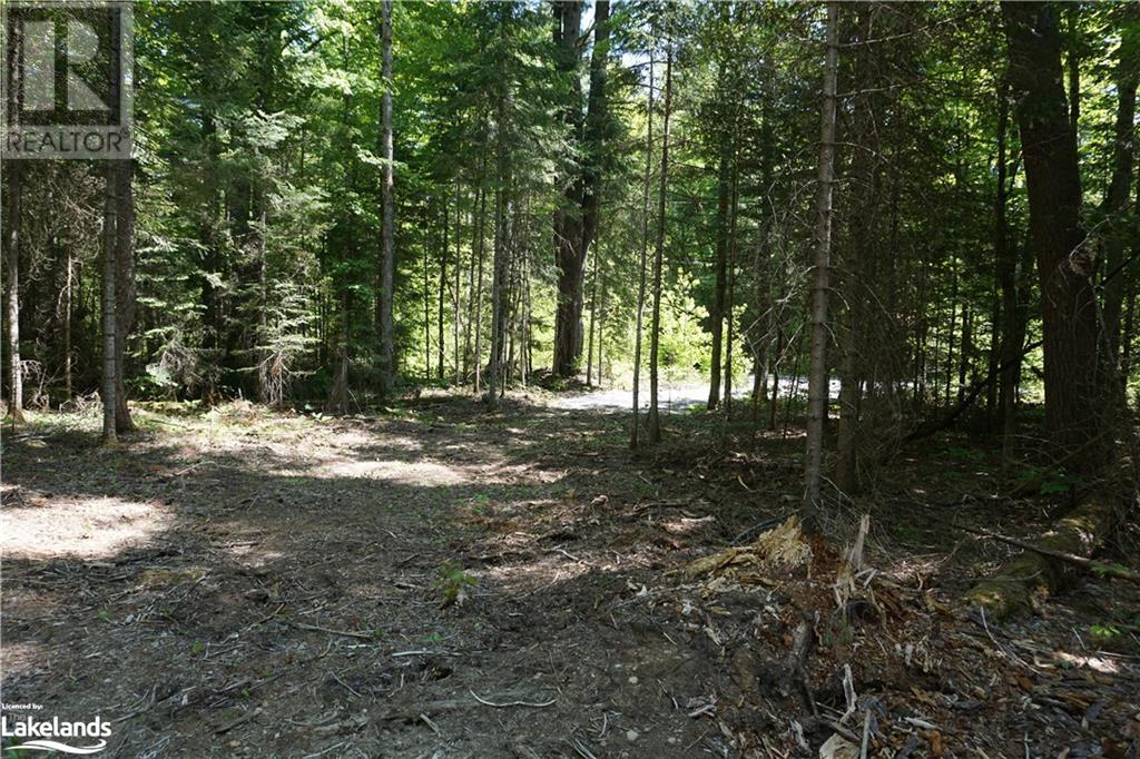 Lot 3 Fairy Falls Road, Baysville, Ontario  P0B 1A0 - Photo 7 - 40452570