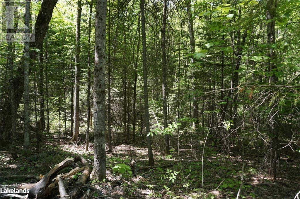 Lot 3 Fairy Falls Road, Baysville, Ontario  P0B 1A0 - Photo 8 - 40452570