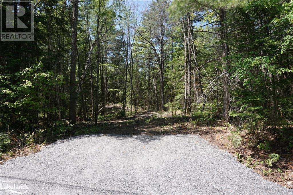 Lot 1 Fairy Falls Road, Baysville, Ontario  P0B 1A0 - Photo 3 - 40452236