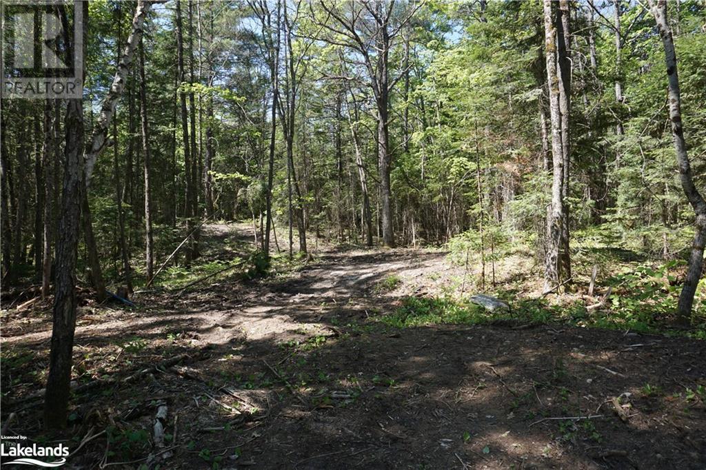 Lot 1 Fairy Falls Road, Baysville, Ontario  P0B 1A0 - Photo 4 - 40452236