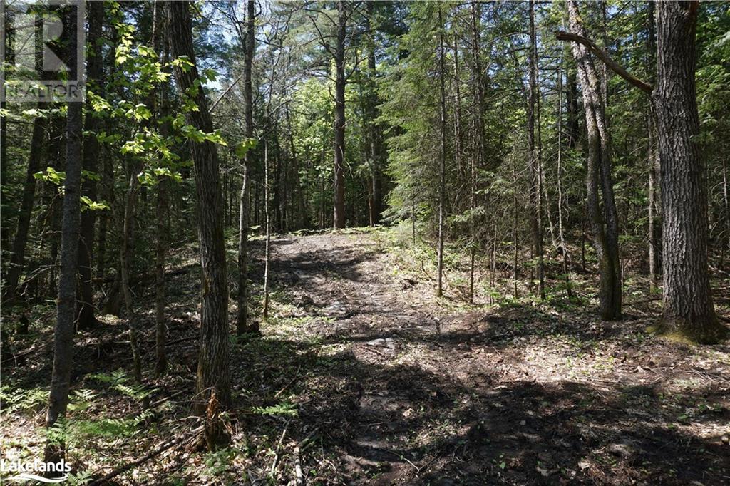 Lot 1 Fairy Falls Road, Baysville, Ontario  P0B 1A0 - Photo 5 - 40452236