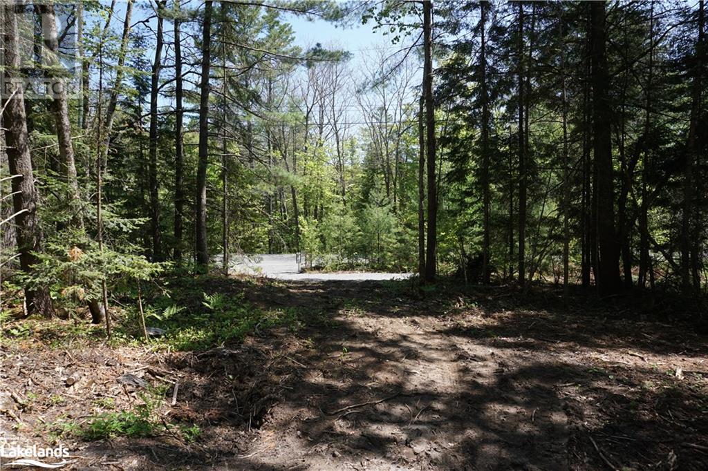 Lot 1 Fairy Falls Road, Baysville, Ontario  P0B 1A0 - Photo 7 - 40452236