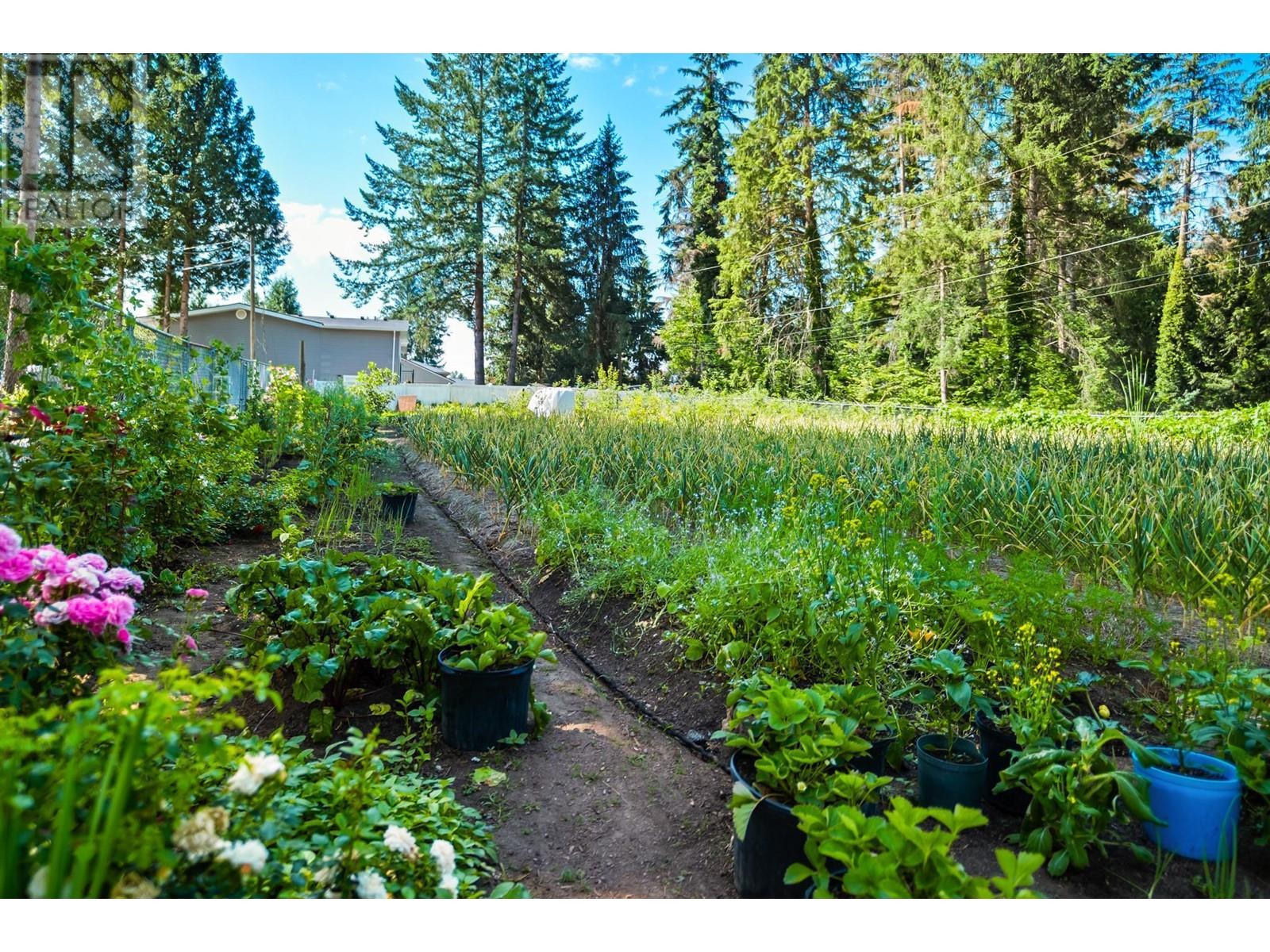 12861 Barnsdale Street, Maple Ridge, British Columbia  V2X 6N6 - Photo 36 - R2795993