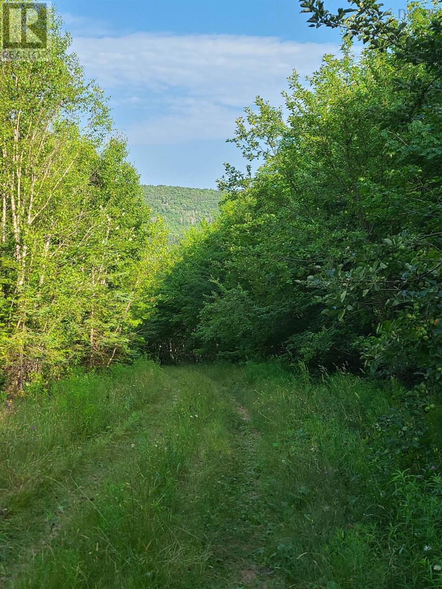 Lot 1 Lakeview Drive, Scotsville, Nova Scotia  B0E 3M0 - Photo 7 - 202219748