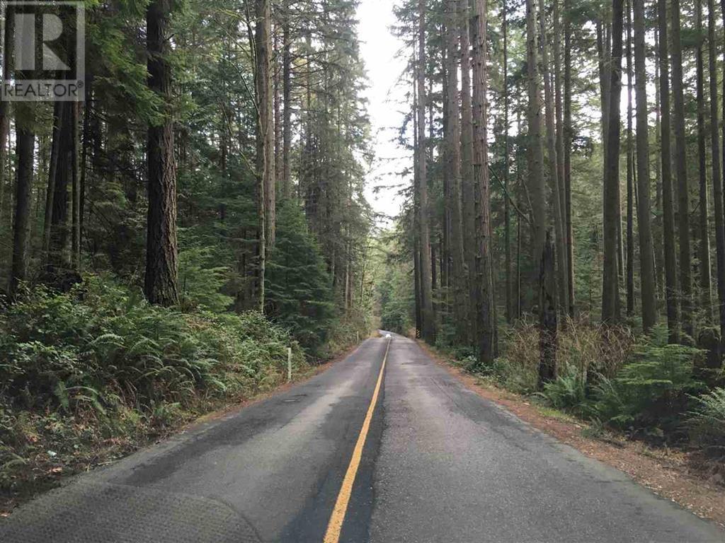 308 Sasamat Lane, North Vancouver, British Columbia  V7G 2S4 - Photo 7 - R2798022