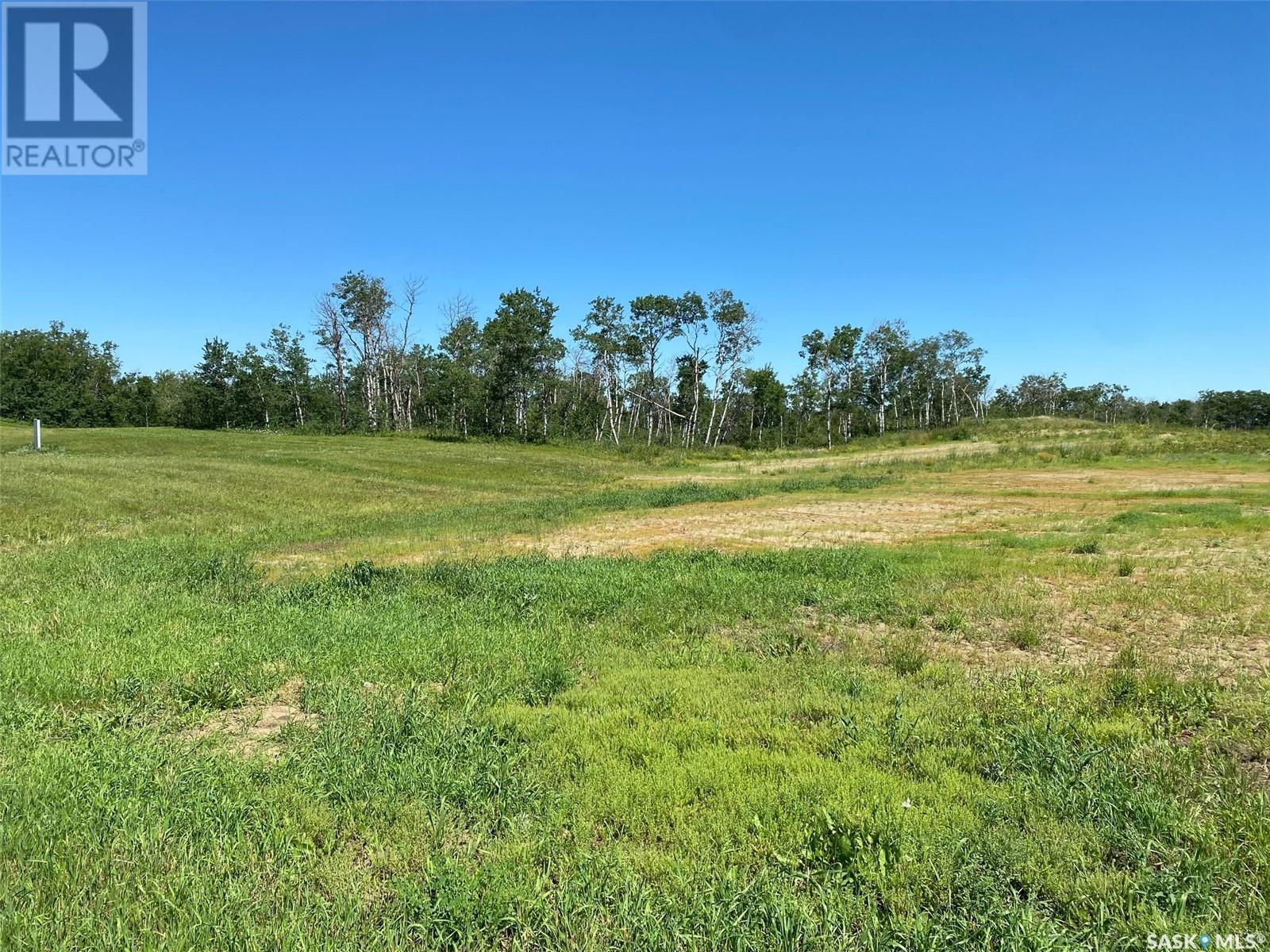 Blk B, Rm Of Duck Lake Lot, Duck Lake Rm No. 463, Saskatchewan  S0K 1J0 - Photo 1 - SK938145