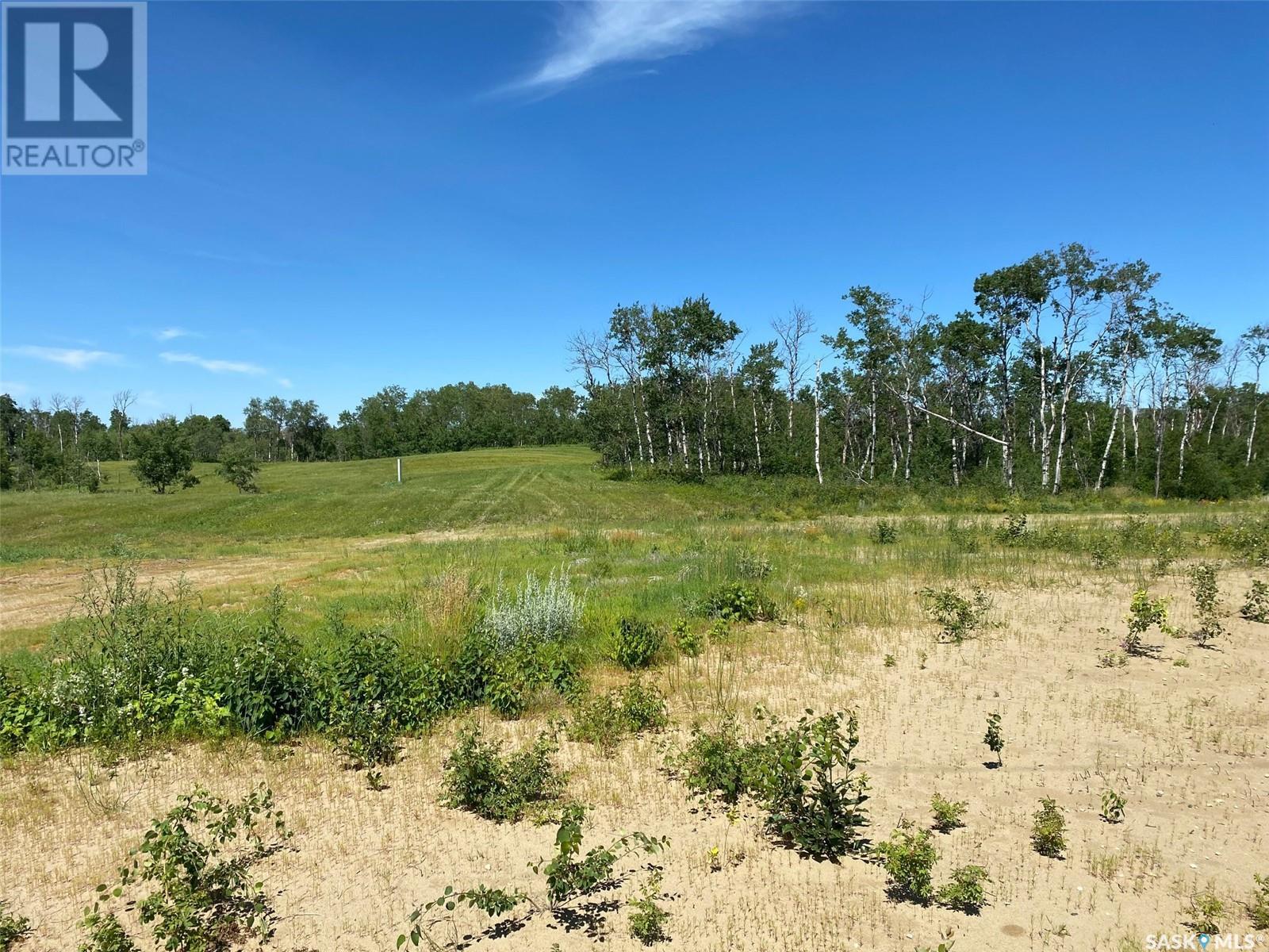 Blk B, Rm Of Duck Lake Lot, Duck Lake Rm No. 463, Saskatchewan  S0K 1J0 - Photo 3 - SK938145